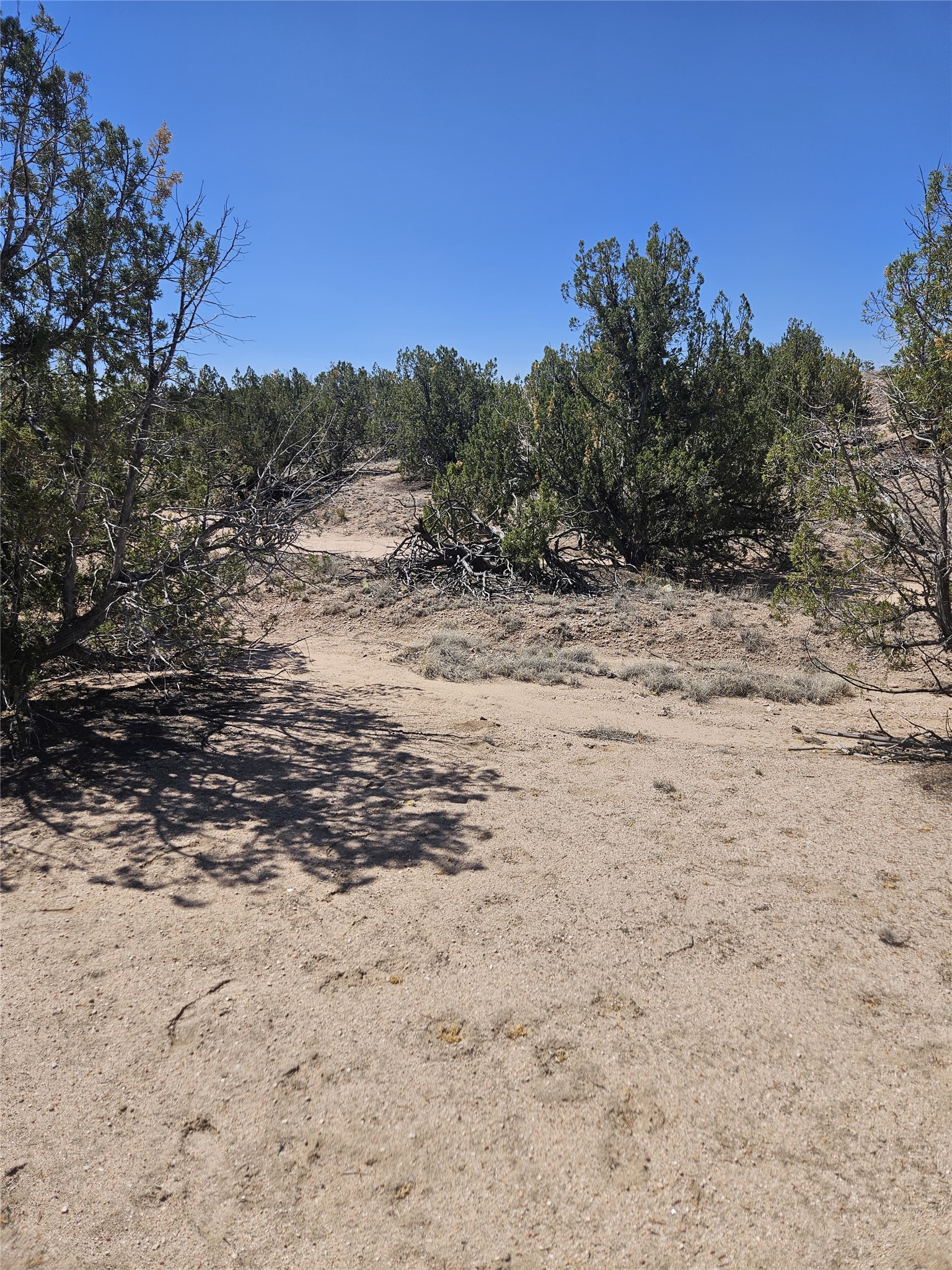 0 Unassigned Santa Fe, NM 87506 - Photo 6 of 12
