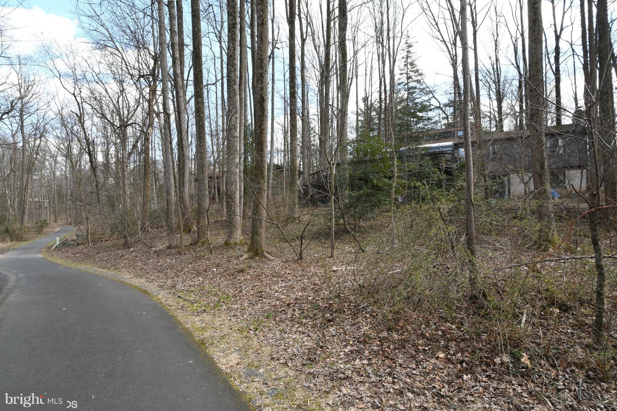 11506 Drop Forge Lane Reston, VA 20191 - Photo 29 of 29 Reston Trail directly behind property