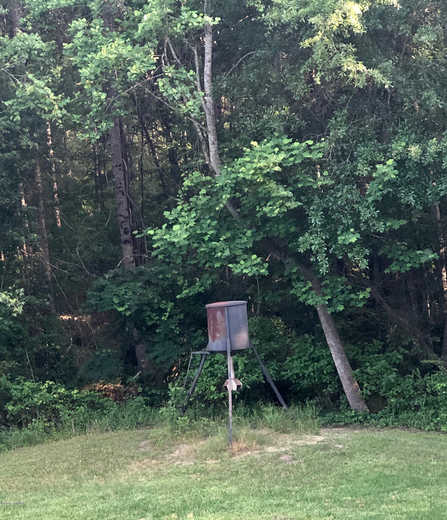 445 Childs Road Roberta, GA 31078 - Photo 18 of 23 a backyard of a house with lots of green space and plants