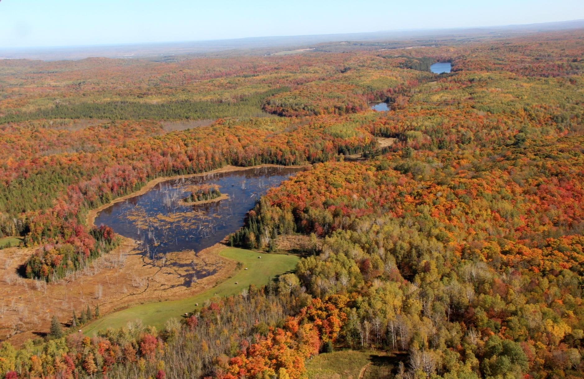 63999 Wolanek Road, Unit 313 ACRES Marengo, WI 54855 - Photo 22 of 93