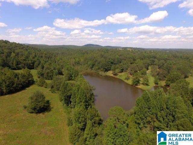 0 State Lake Road, Unit 31 ACRES Lineville, AL 36266 - Photo 5 of 15