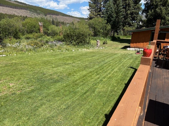 353 Blue River Road Blue River, CO 80424 - Photo 39 of 48