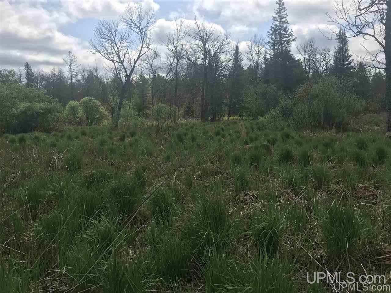 W1695 Co Road Felch, MI 49831 - Photo 7 of 50
