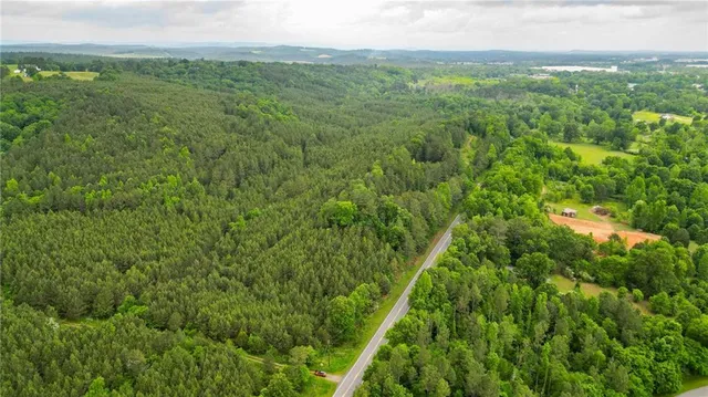 a view of a lush green forest with trees and some houses