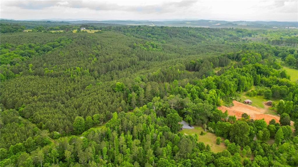 1509 Hall Station Road Northwest Adairsville, GA 30103 - Photo 6 of 10 a view of a lush green forest with trees and some houses