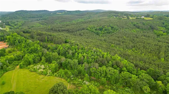 a view of a lush green forest with trees and some houses