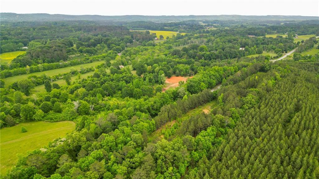 1509 Hall Station Road Northwest Adairsville, GA 30103 - Photo 8 of 10 a view of a lush green forest with trees and some houses