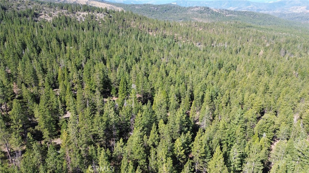 0 Gazelle Callahan Road Weed, CA 96094 - Photo 2 of 29 Gallery Image 2
