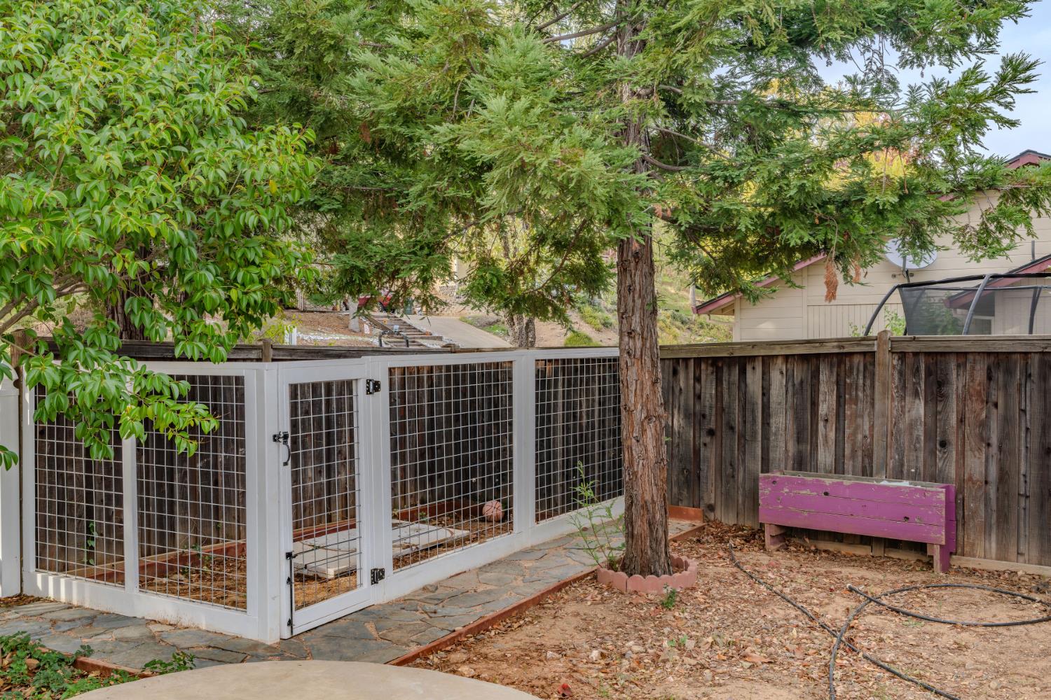 10370 Spunn Road Jackson, CA 95642 - Photo 18 of 87