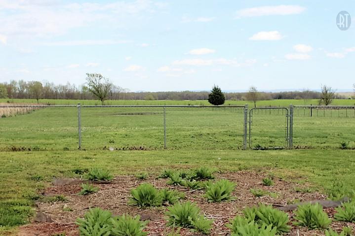 8190 Fredonia Road Manchester, TN 37355 - Photo 17 of 18 View of the land.