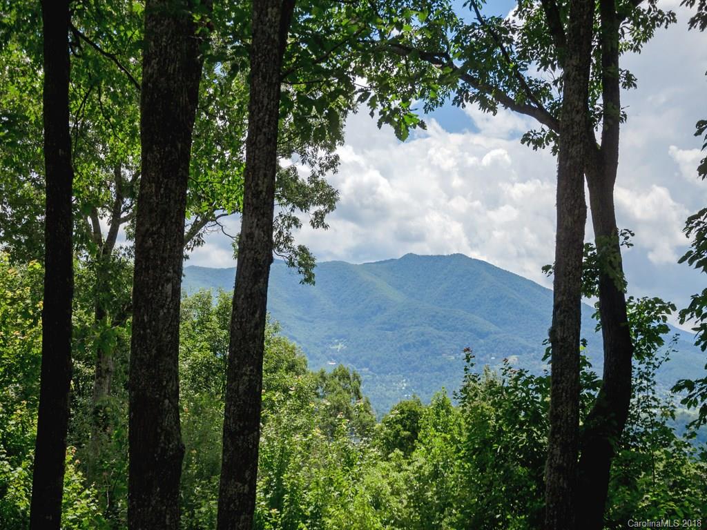 710 Falcon Ridge Drive, Unit 18 Waynesville, NC 28786 - Photo 2 of 30 Gallery Image 2