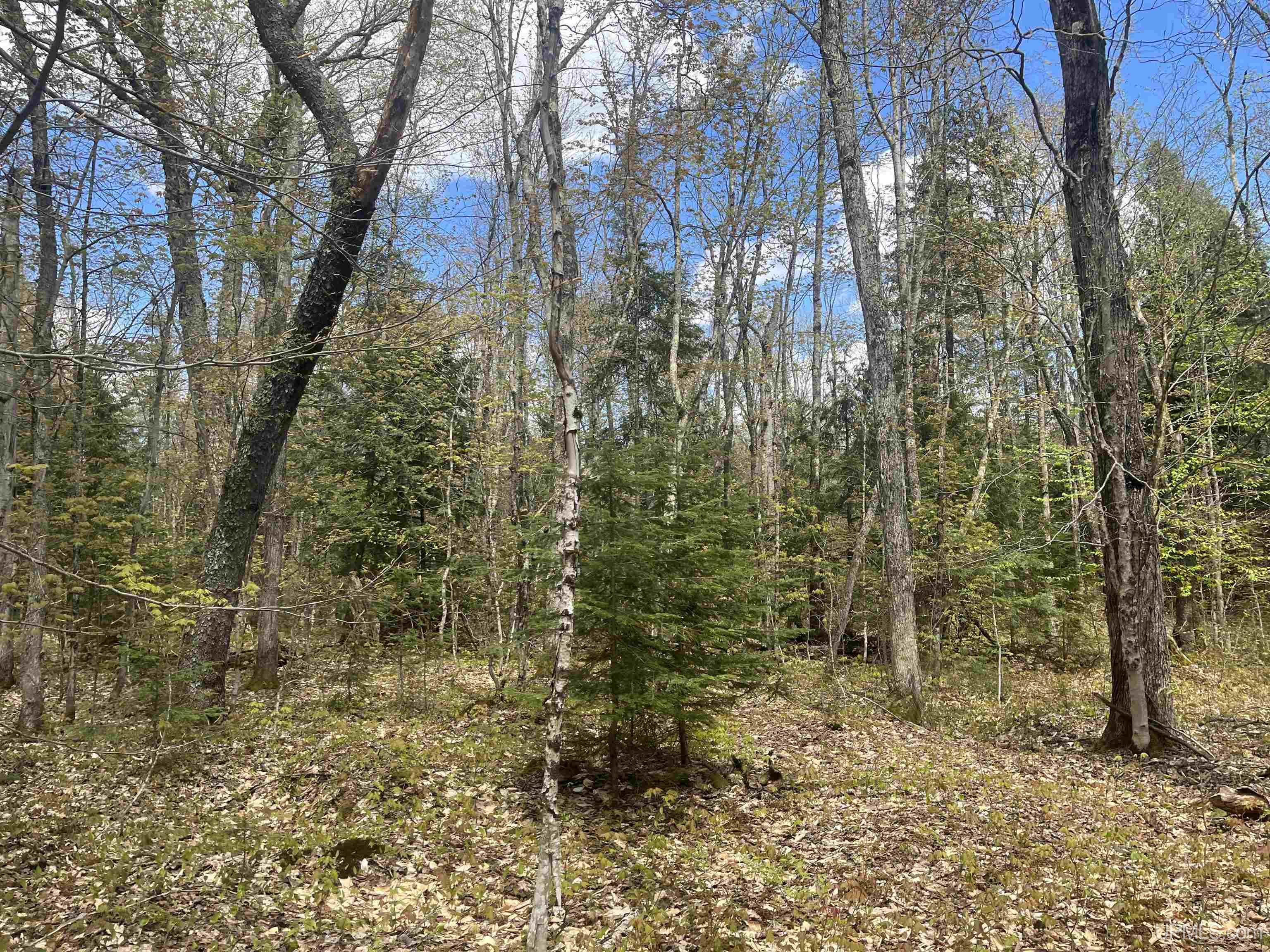 450 Rd Seney Mi 49883 Road Seney, MI 49883 - Photo 13 of 33