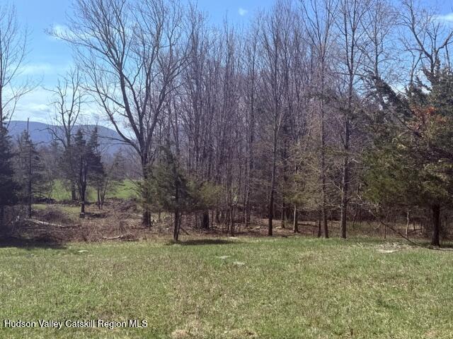 0 Van Etten Road Prattsville, NY 12468 - Photo 15 of 34 IMG_3161