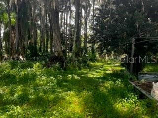 12919 Broleman Road Orlando, FL 32832 - Photo 13 of 15 Gallery Image 13