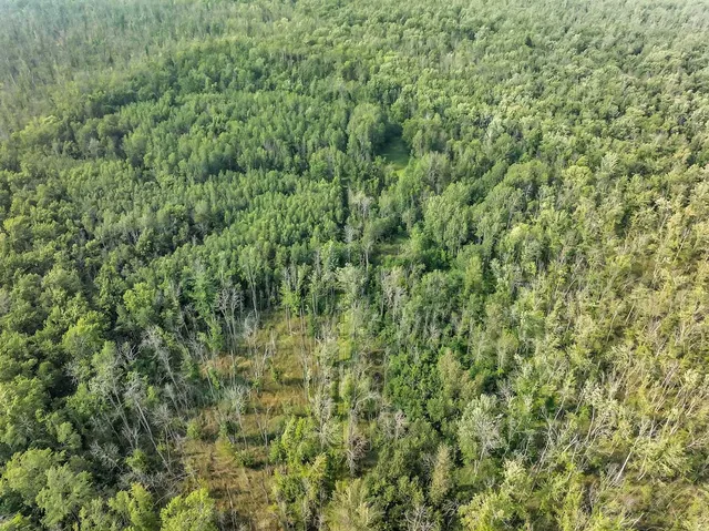 $860,000 | County Road South, Algoma, WI 54201