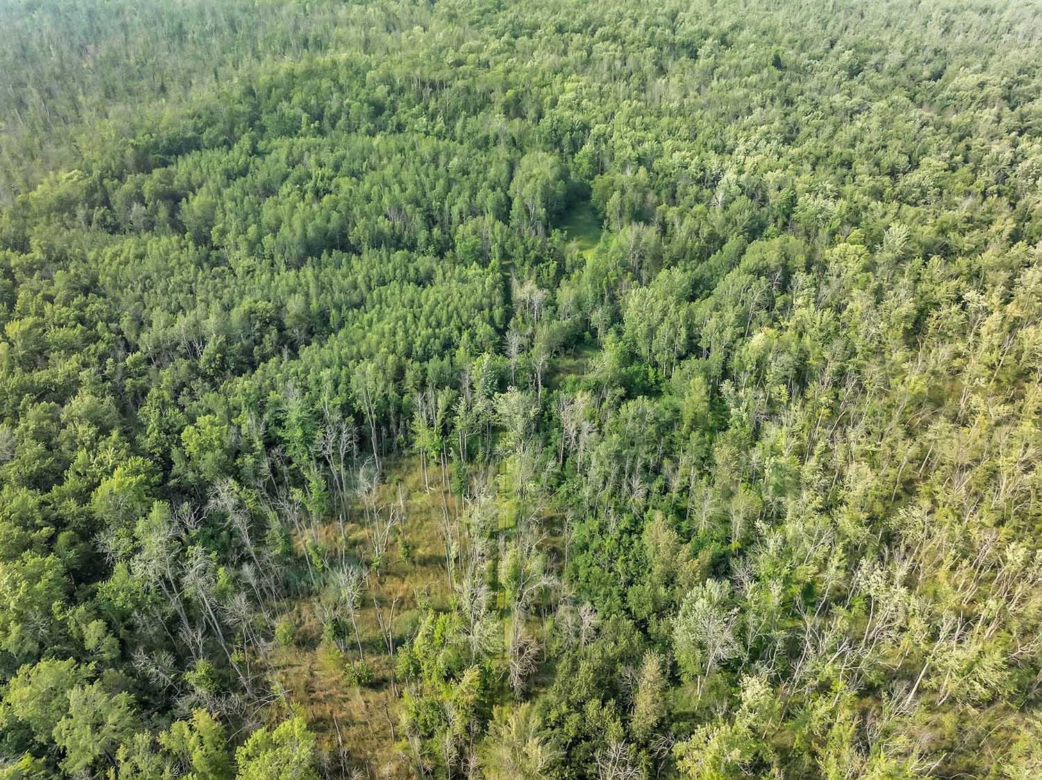 County Road South Algoma, WI 54201 - Photo 11 of 24