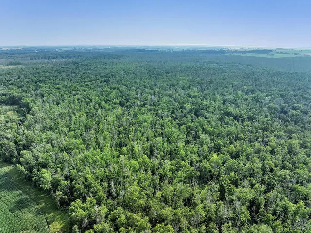 $860,000 | County Road South, Algoma, WI 54201