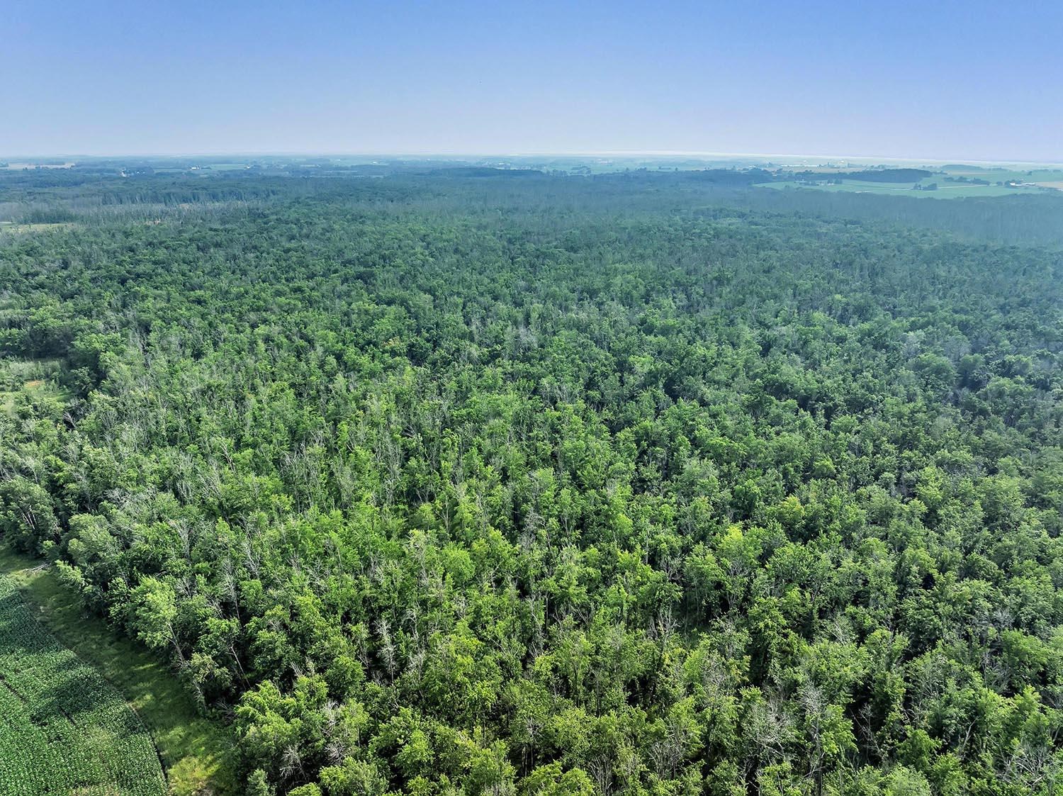 County Road South Algoma, WI 54201 - Photo 15 of 24