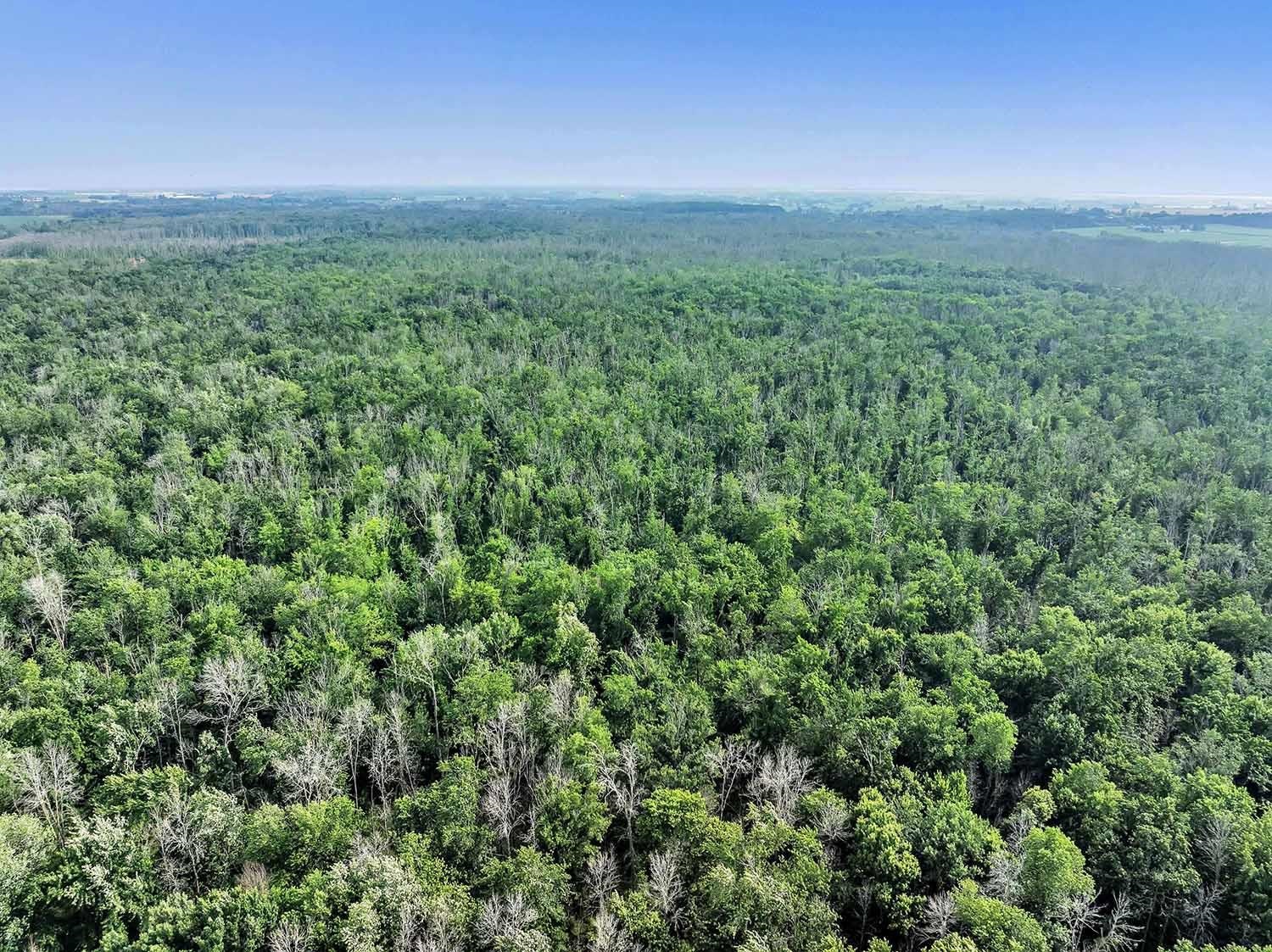 County Road South Algoma, WI 54201 - Photo 16 of 24