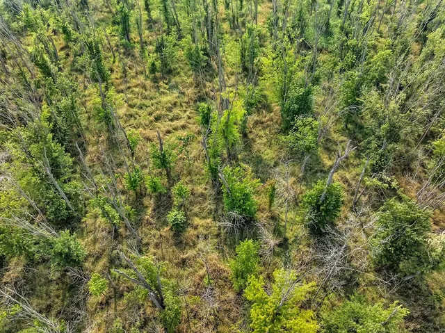 $860,000 | County Road South, Algoma, WI 54201