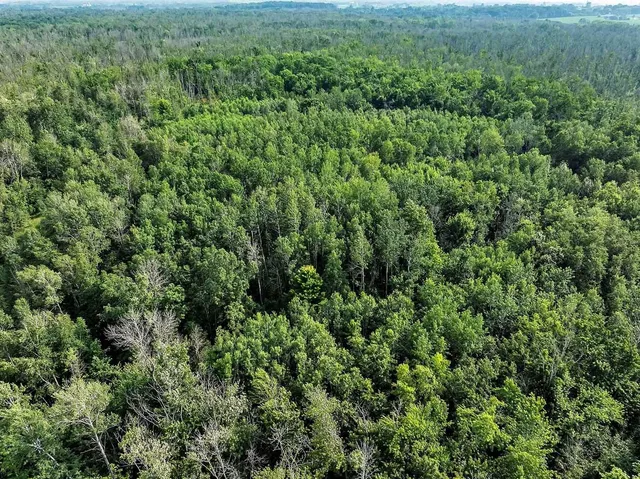 $860,000 | County Road South, Algoma, WI 54201