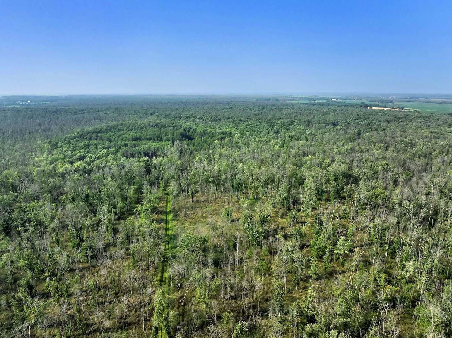 County Road South Algoma, WI 54201 - Photo 4 of 24