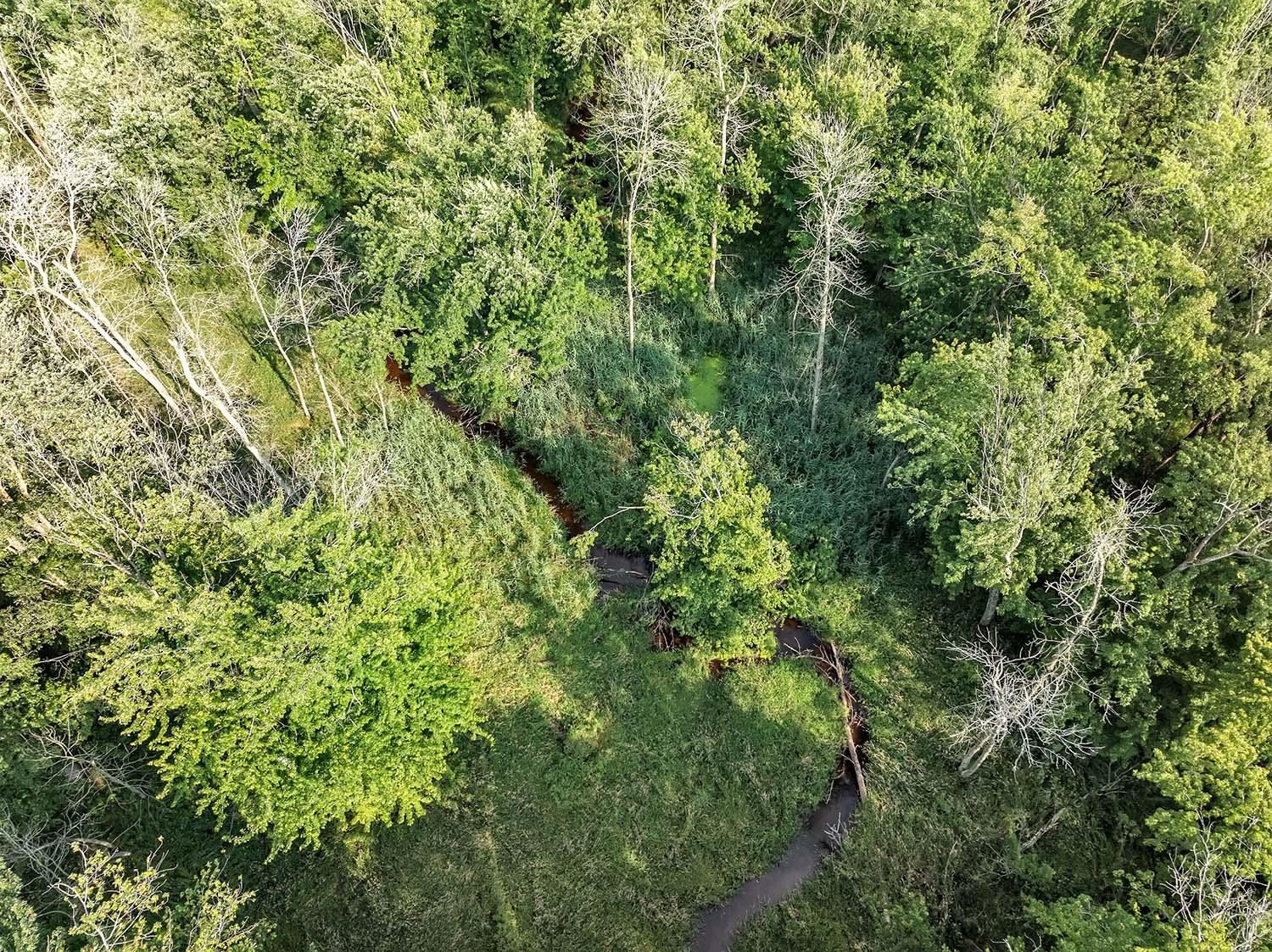 County Road South Algoma, WI 54201 - Photo 6 of 24