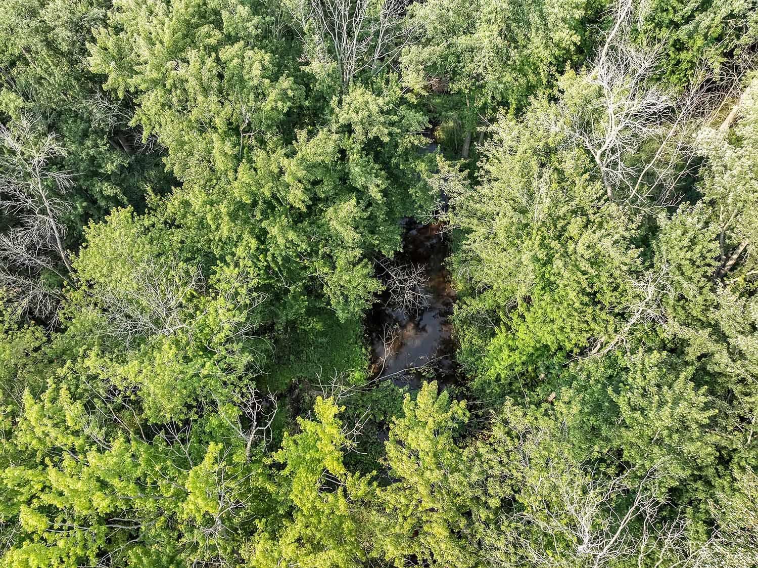 County Road South Algoma, WI 54201 - Photo 7 of 24