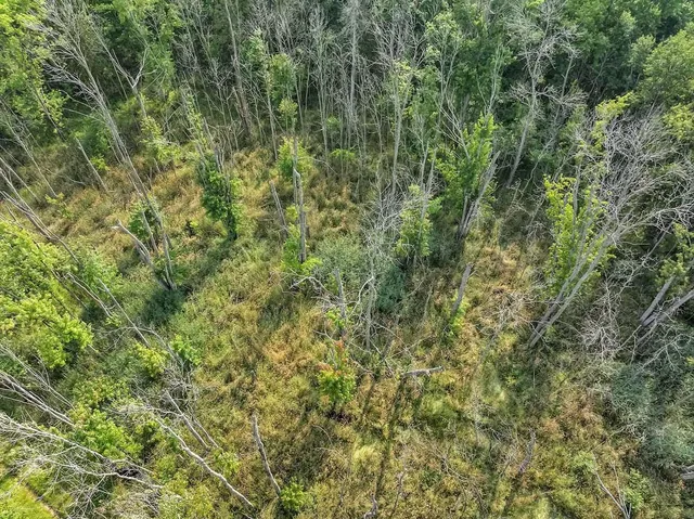 $860,000 | County Road South, Algoma, WI 54201