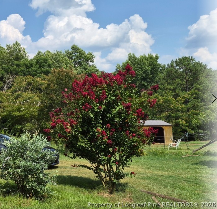 1011 Sweet Raspberry Lane Lillington, NC 27546 - Photo 3 of 10