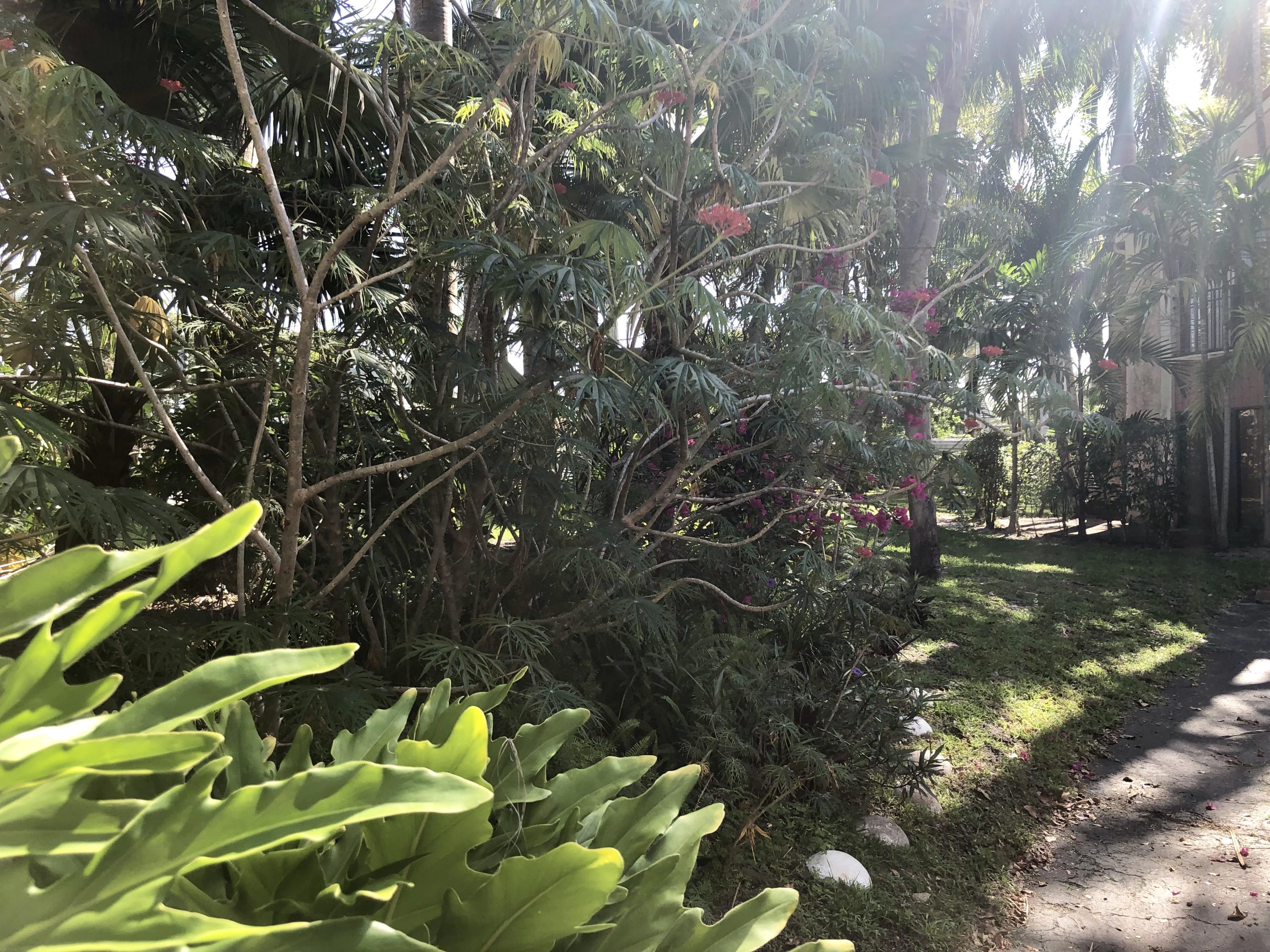 6030 Verde Trail South, Unit 202 Boca Raton, FL 33433 - Photo 36 of 55 fullsizeoutput_1b5d