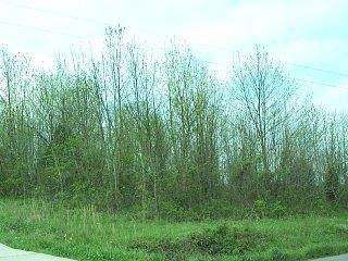 108 Hide Away Cove Road Lancaster, KY 40444 - Photo 1 of 2 Photo 1