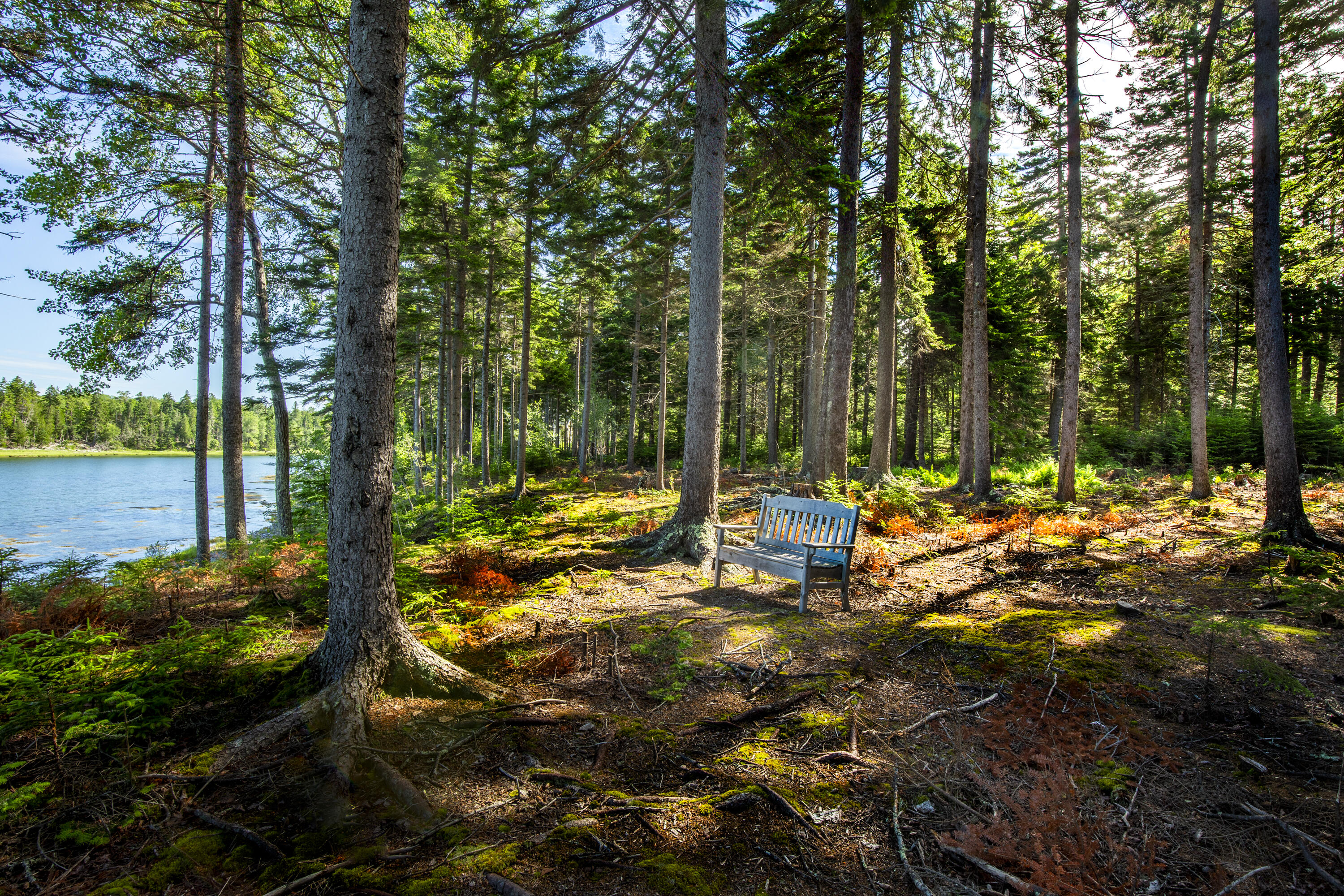 M15-l20-tbd Golf Club Road Islesboro, ME 04848 - Photo 13 of 41