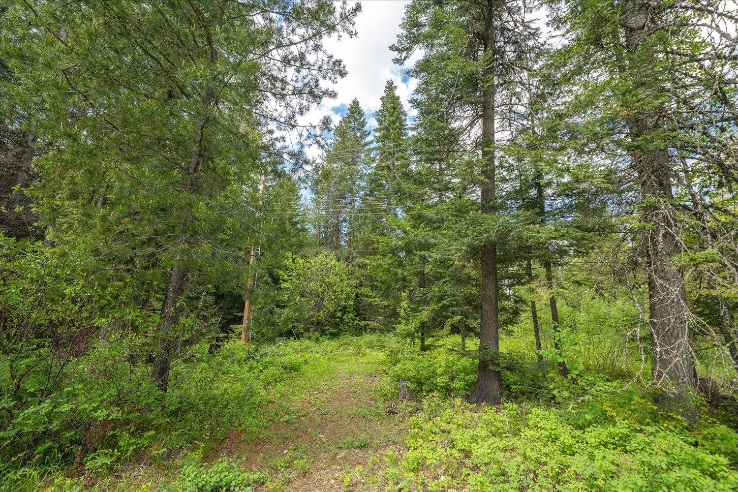 264 Davis Lake Road Usk, WA 99180 - Photo 39 of 50 Gallery Image 39