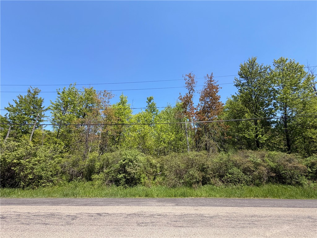 Waterman Road Evans, NY 14006 - Photo 1 of 17