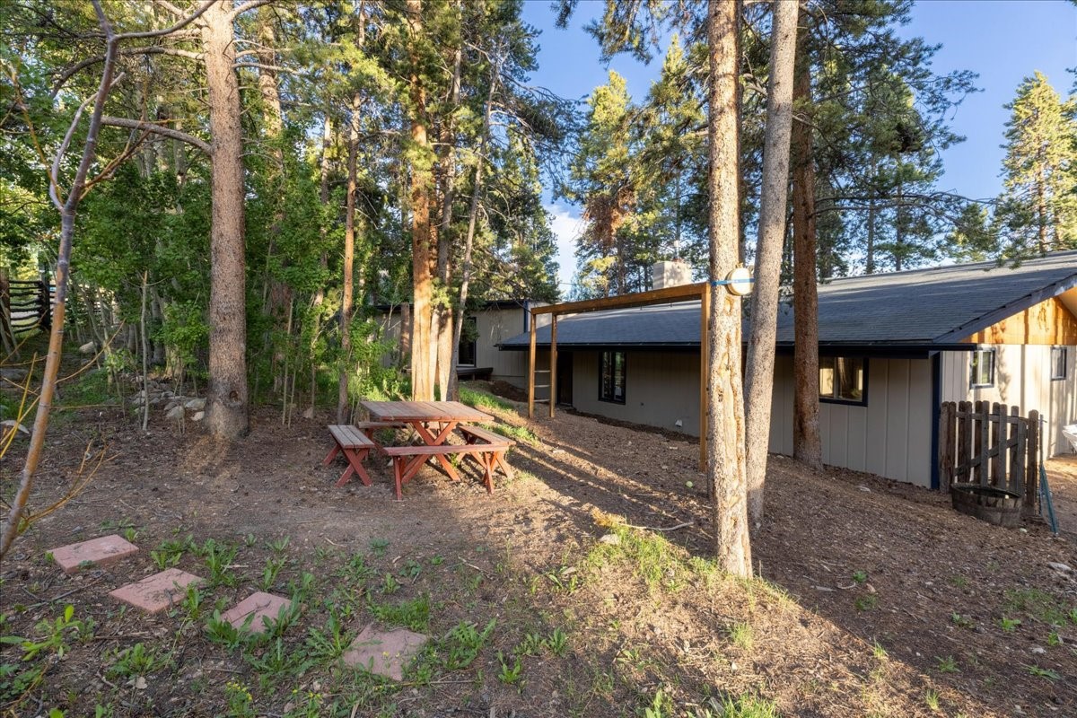 1981 Boreas Pass Road Breckenridge, CO 80424 - Photo 33 of 50