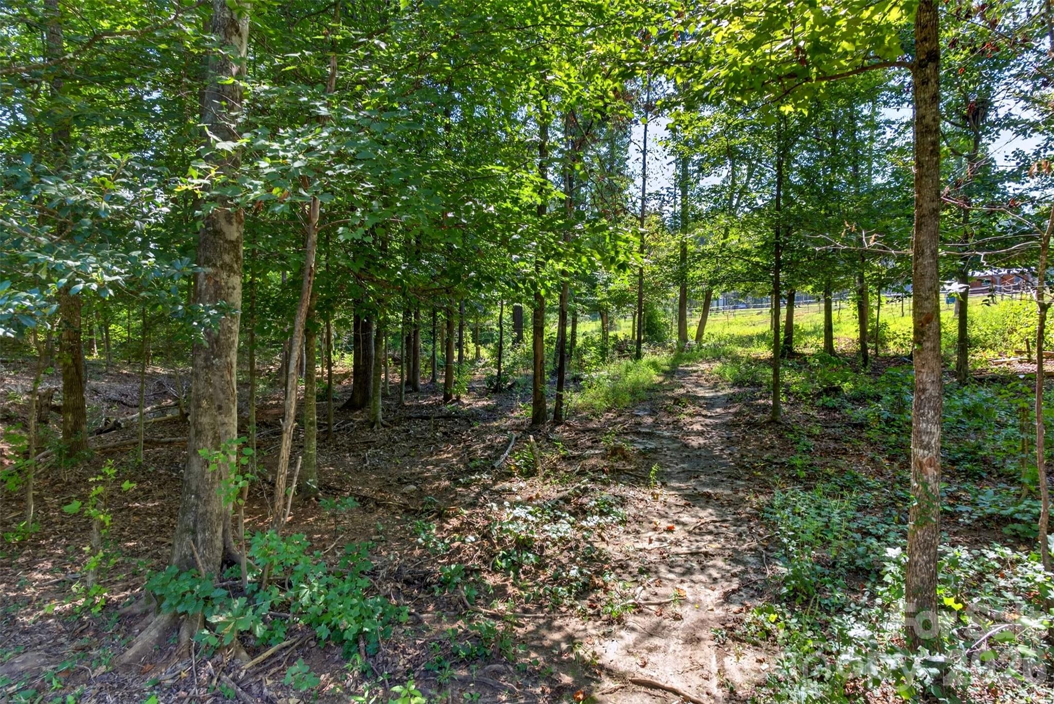 316 Oak Grove Road Landrum, SC 29356 - Photo 31 of 40 Gallery Image 31