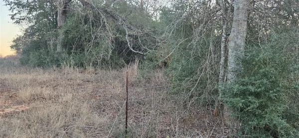 $145,000 | 314-county Road Lot 8 314-county Road, Lexington, TX 78947