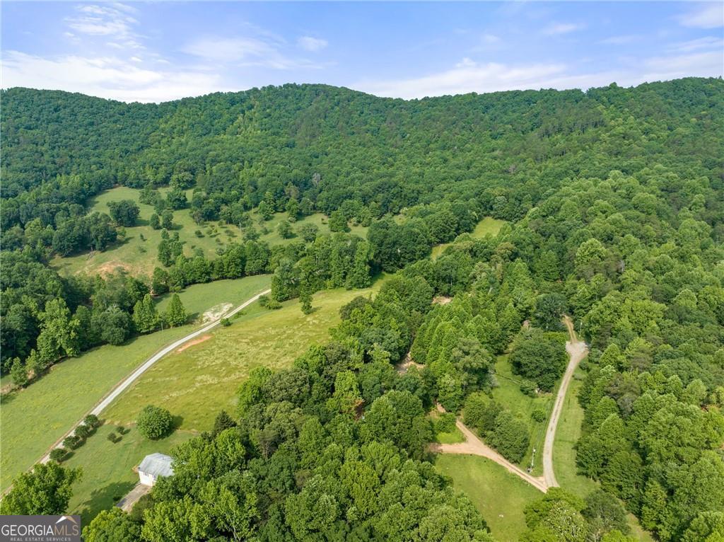 0 Freeman View Trail, Unit LOT 4 Cleveland, GA 30528 - Photo 7 of 20