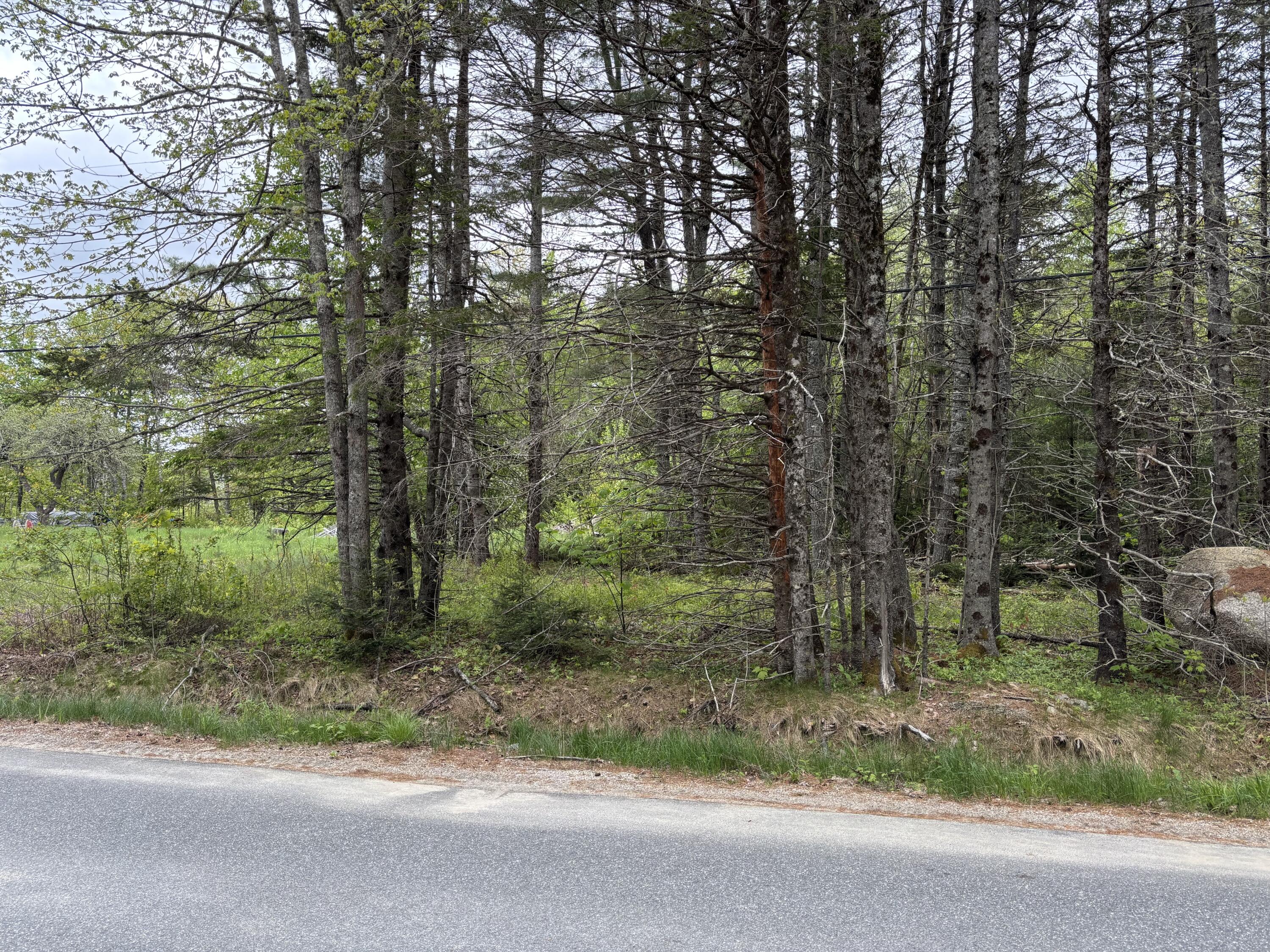 Lot# 4-7 Lot#4-7 Macomber Mill Road Eastbrook, ME 04634 - Photo 4 of 16 Front-right