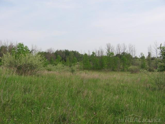 5687 Walker Road Applegate, MI 48401 - Photo 28 of 28