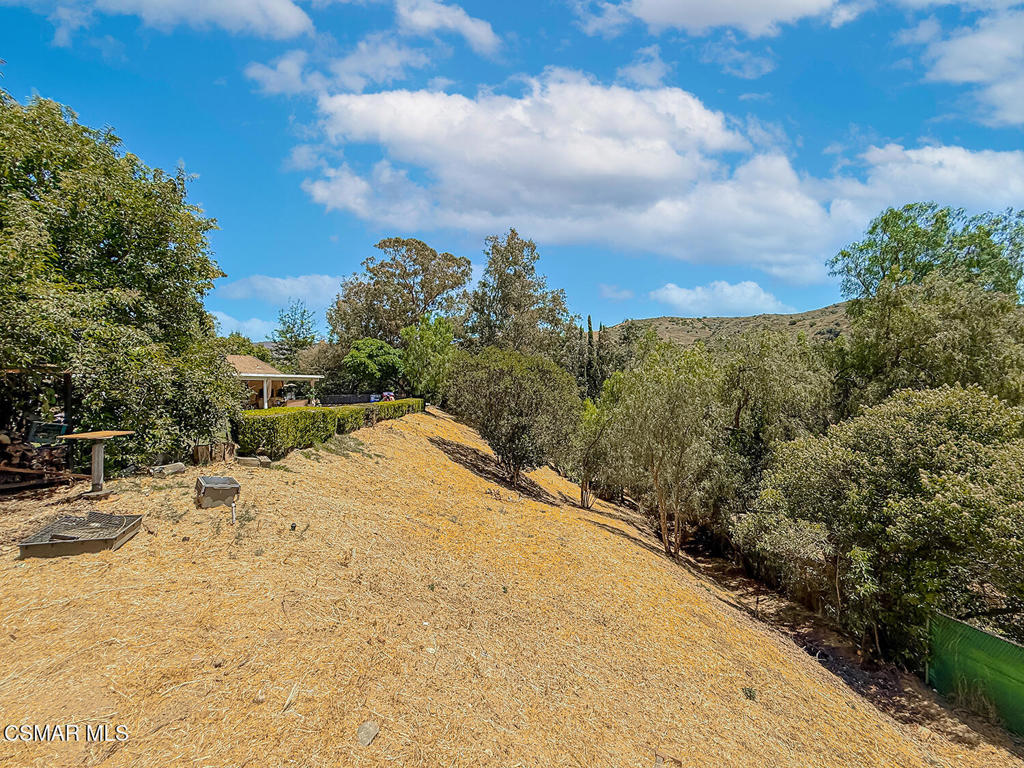 1351 Rambling Road Simi Valley, CA 93065 - Photo 63 of 70