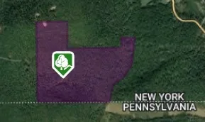 $332,160 | 253 Fenescey Road, Windsor, NY 13865