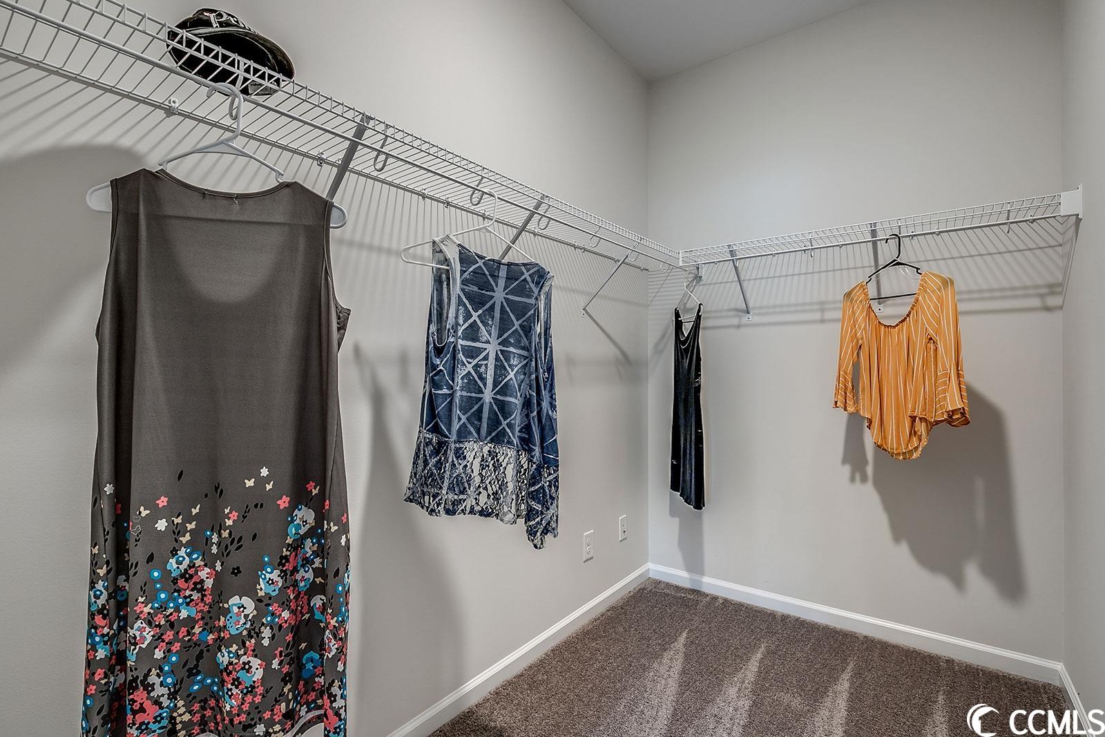 239 Wagner Circle Conway, SC 29526 - Photo 9 of 29