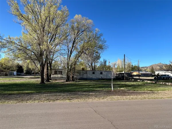 a view of a park with large trees