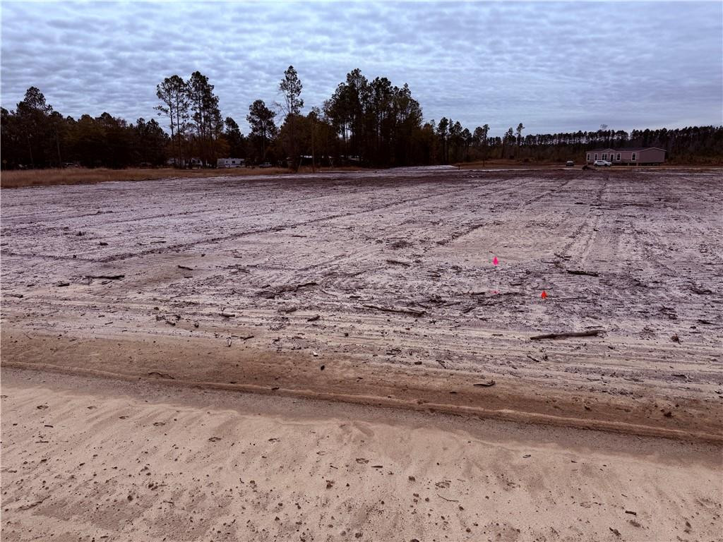 Lot 16 Wiregrass Lane, Unit 16 Waycross, GA 31503 - Photo 5 of 6