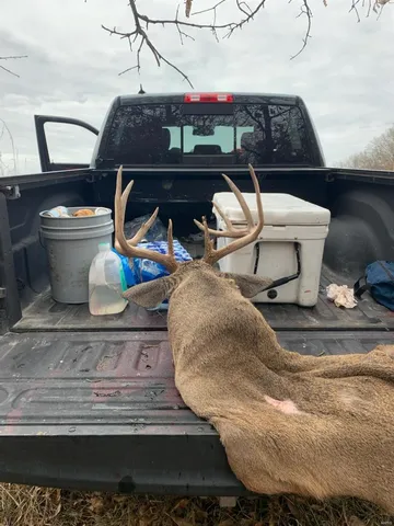 $859,000 | 0 County Road 1117, Madison, MO 65263