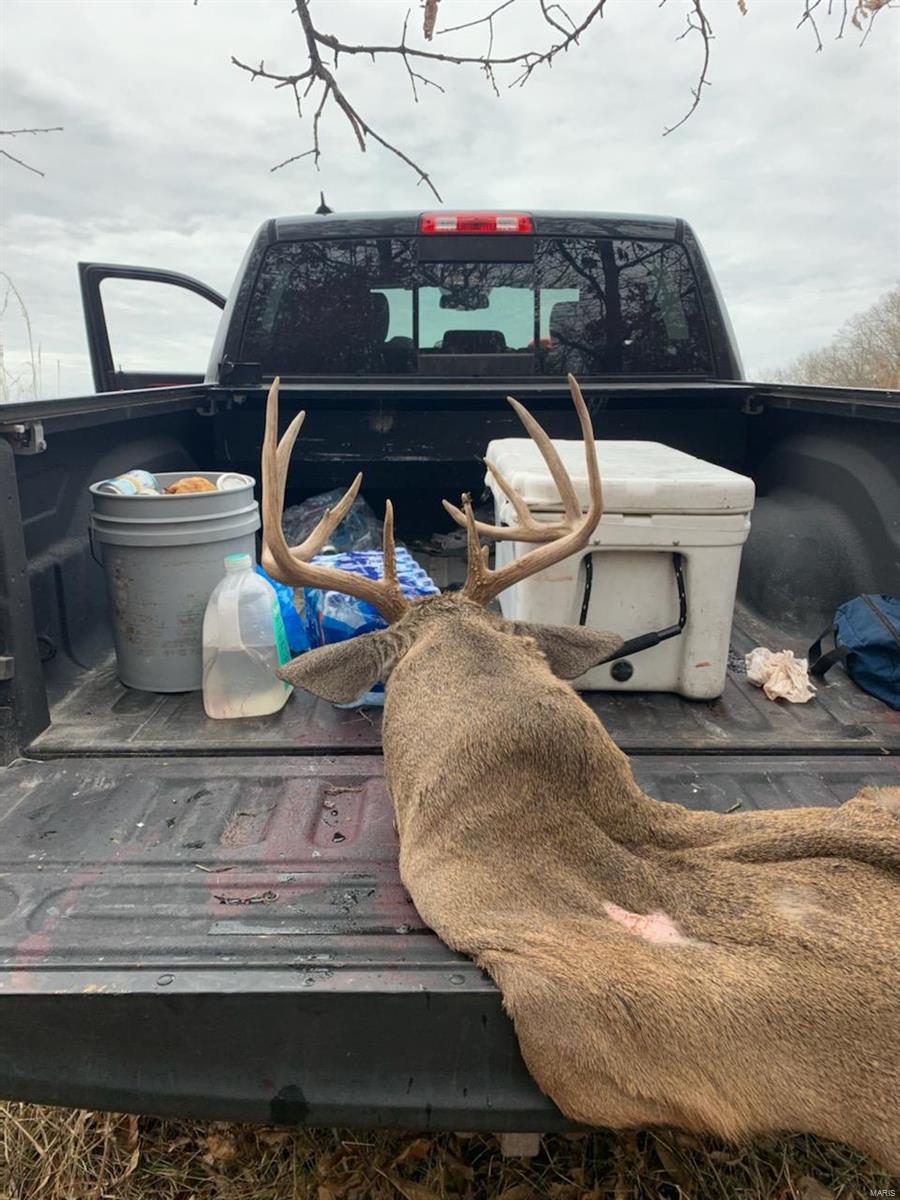 0 County Road 1117 Madison, MO 65263 - Photo 11 of 11