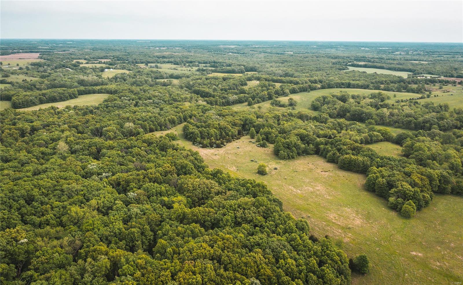 0 County Road 1117 Madison, MO 65263 - Photo 2 of 11