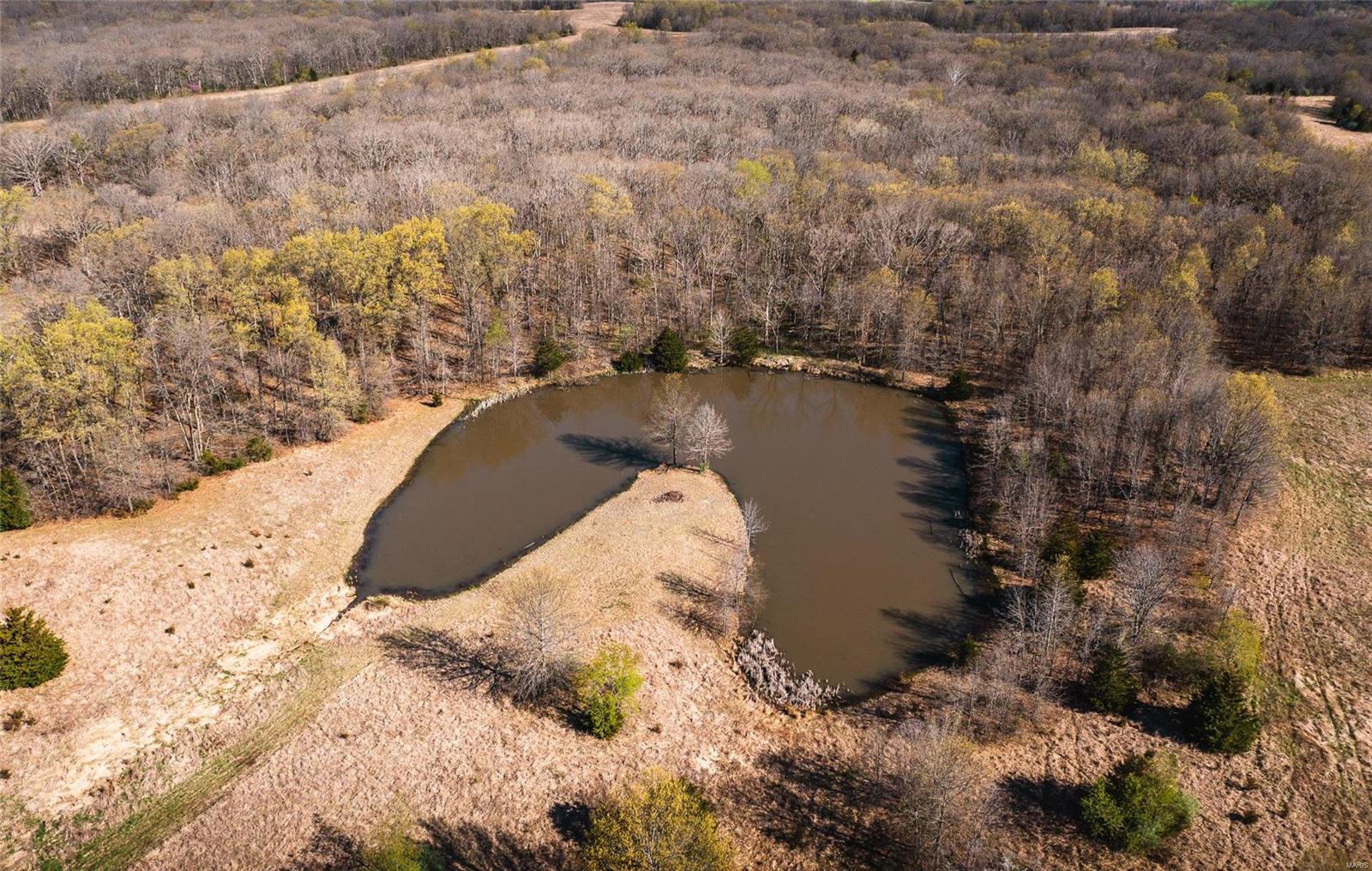 0 County Road 1117 Madison, MO 65263 - Photo 4 of 11